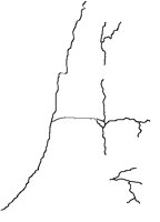 HOLYLND2.PCT