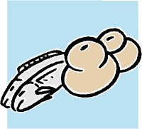 LOAVES2.PCT