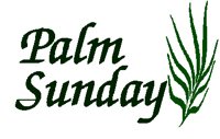 PALMSUN.PCT