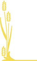 WHEAT.PCT
