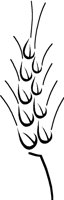 WHEAT2.PCT