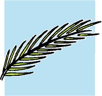 WHEAT3.PCT