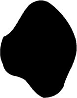 BIGDOT.PCT
