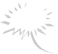 BURST4.PCT