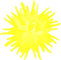 FLOWER.PCT