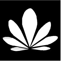 LOTUS.PCT