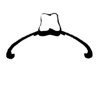 RIBBON5.PCT
