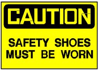 SAFESHOE.PCT