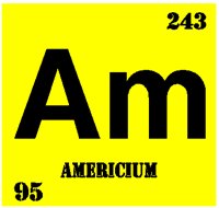 AMERICIM.PCT