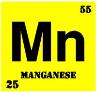 MANGANES.PCT