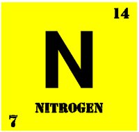 NITROGEN.PCT