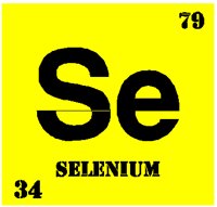 SELENIUM.PCT