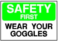 GOGGLES.PCT