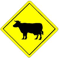 COWS.PCT