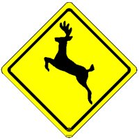 DEERXING.PCT