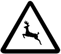 DEER.PCT