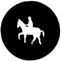 HORSES.PCT