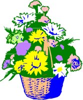 BOUQUET.PCT