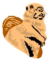 GRNDHOG.PCT
