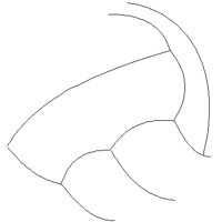 BALL12.PCT