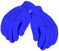 SKIGLOVE.PCT