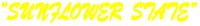 KSNKNAME.PCT