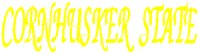 NENKNAME.PCT