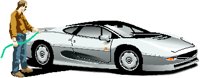 EXOTICAR.PCT