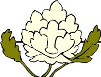 LOTUSFLR.PCT