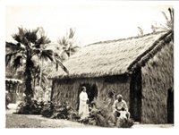 157L.JPG