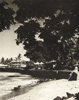 141L.JPG