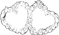 WE000096.EPS