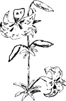 PN000038.EPS