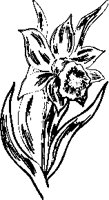 PN000034.EPS
