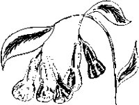 PN000026.EPS