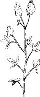 PN000003.EPS