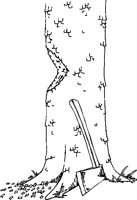 FL000056.EPS