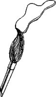 EO000158.EPS