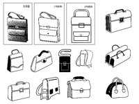 BAG1.TIF