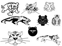 TIGER3.TIF