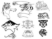 TIGER1.TIF