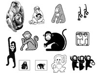 MONKEY3.TIF