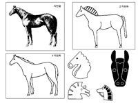 HORSE6.TIF