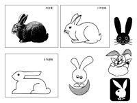 HARE3.TIF