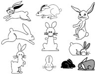 HARE1.TIF