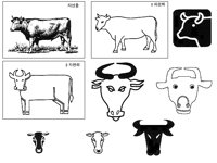 CATTLE5.BMP