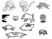 SWINE.TIF