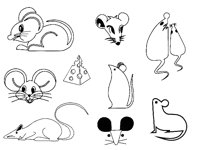 RAT2.TIF