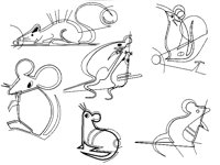 RAT1.TIF