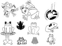 FROG2.TIF
